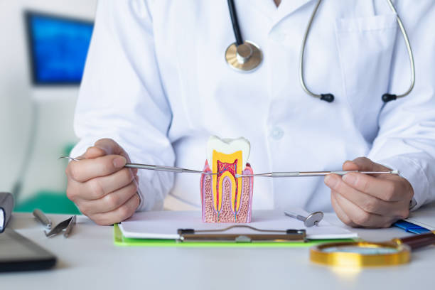 Best Emergency Tooth Extraction in Pell City, AL